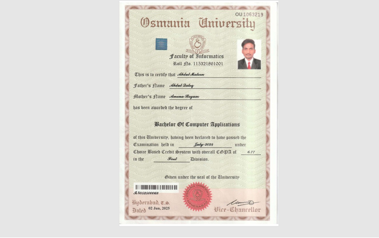 Bachelors Degree in 2024